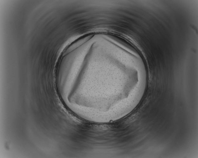 X0000101221045200807181547