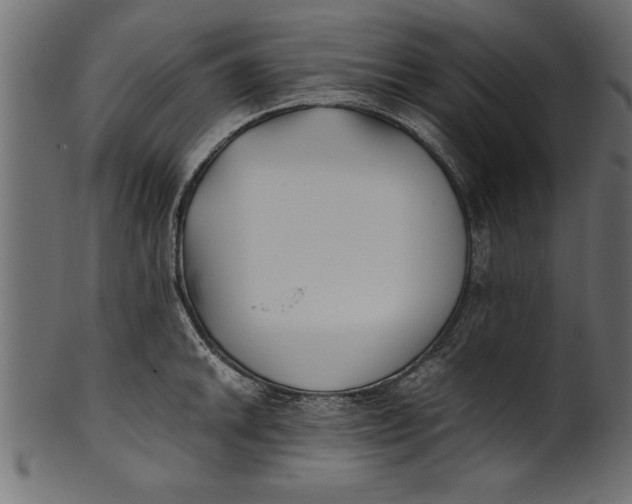 X0000101221046200807181547