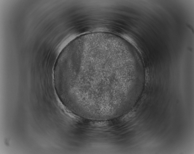 X0000101221047200807181547