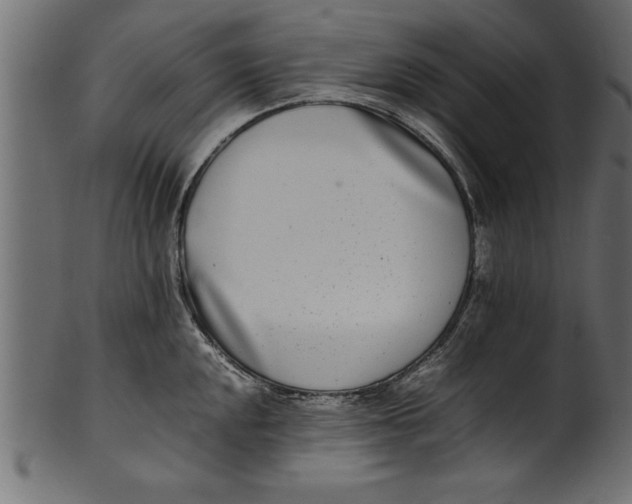 X0000101221048200807181547