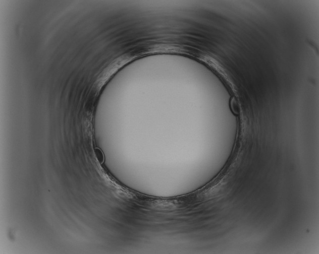 X0000101221049200807181547