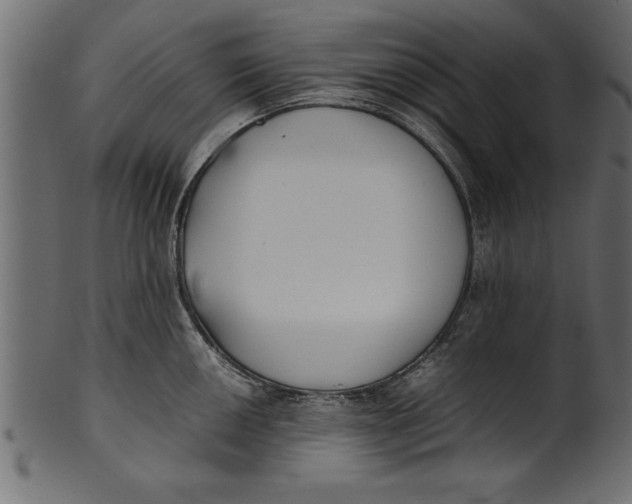 X0000101221050200807181547