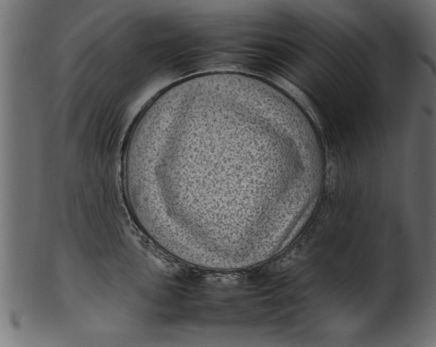 X0000101221051200807181547