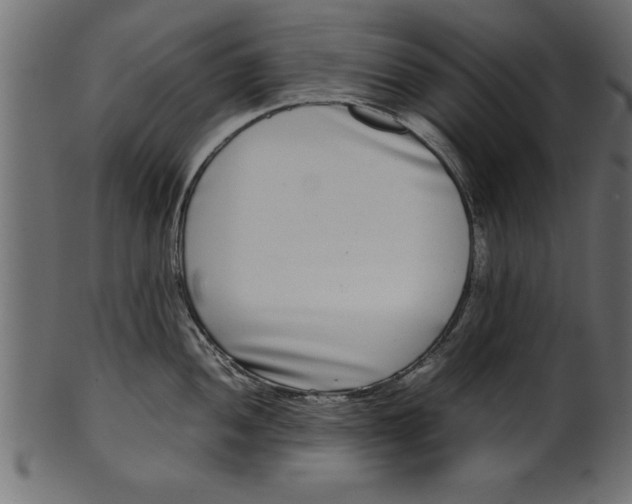 X0000101221052200807181547