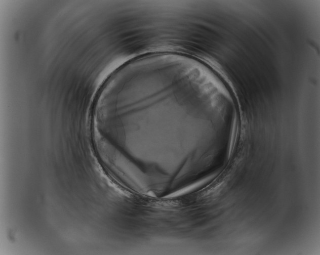 X0000101221053200807181547
