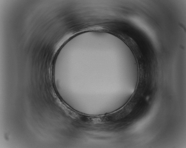 X0000101221054200807181547