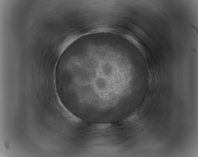X0000101221055200807181547