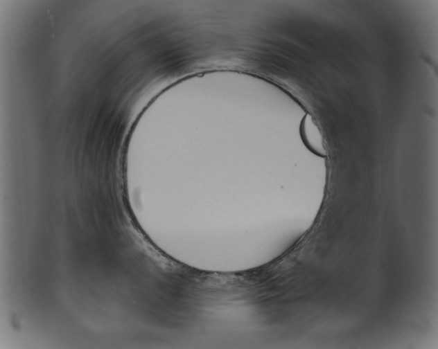X0000101221056200807181547