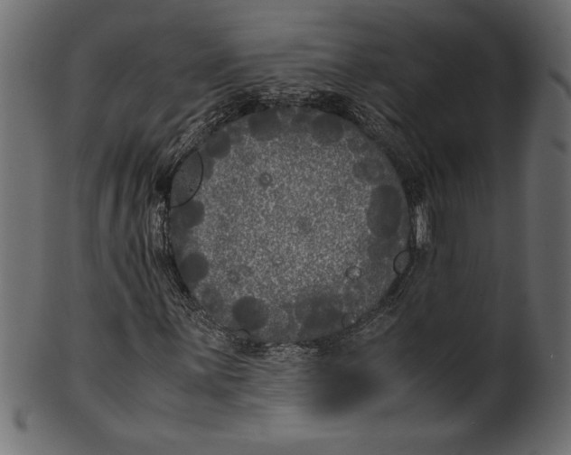 X0000101221059200807181547