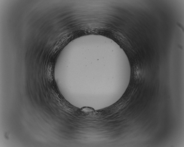 X0000101221060200807181547
