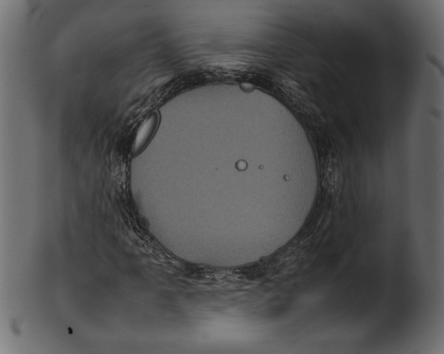 X0000101221061200807181547