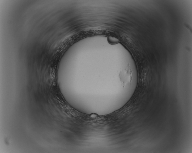 X0000101221062200807181547