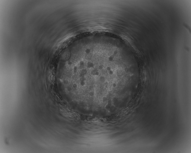 X0000101221063200807181547