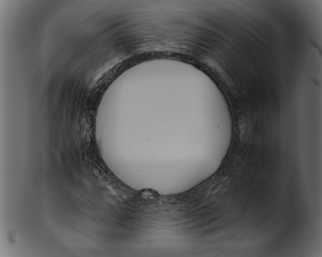 X0000101221064200807181547