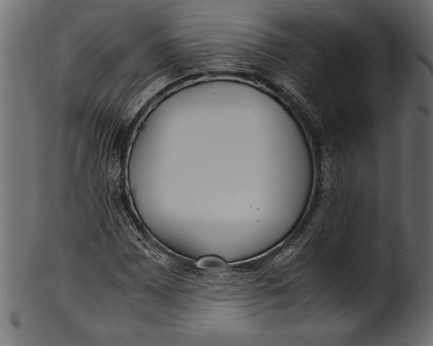 X0000101221065200807181547