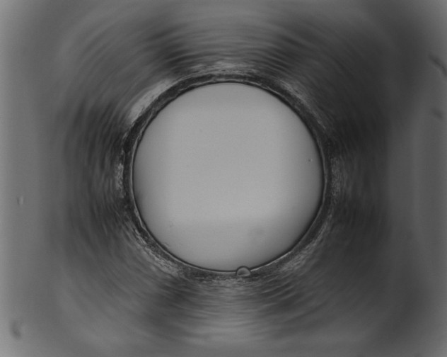 X0000101221066200807181546