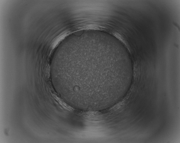 X0000101221067200807181546