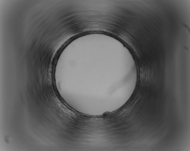 X0000101221068200807181546