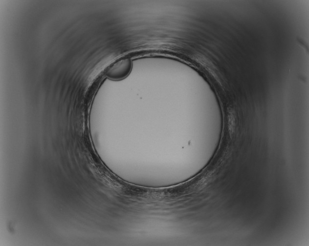X0000101221069200807181546