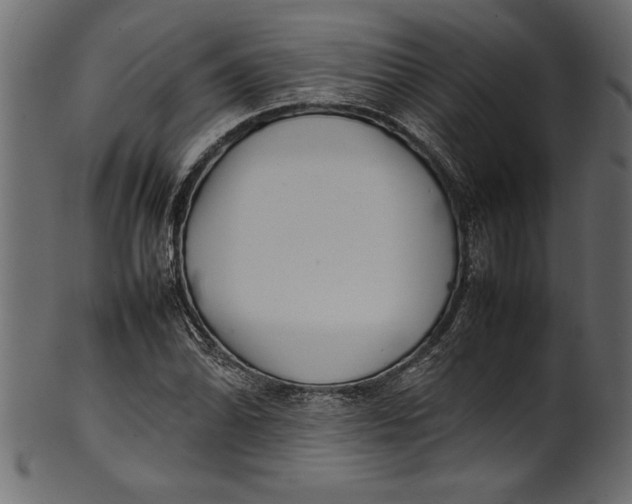 X0000101221070200807181546