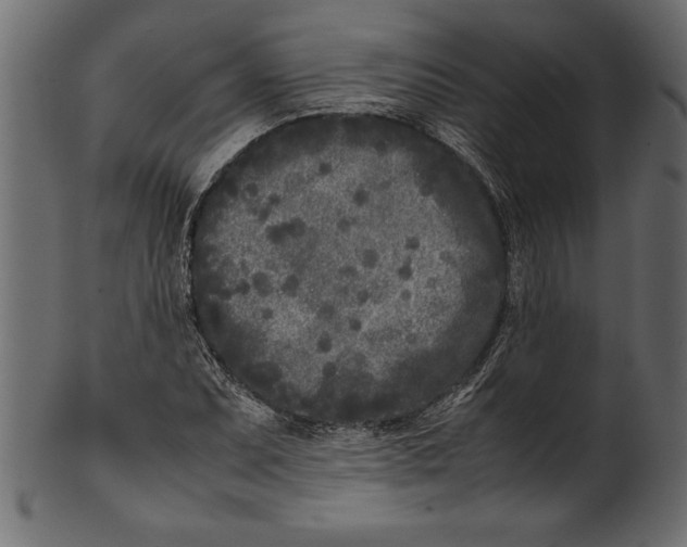 X0000101221071200807181546