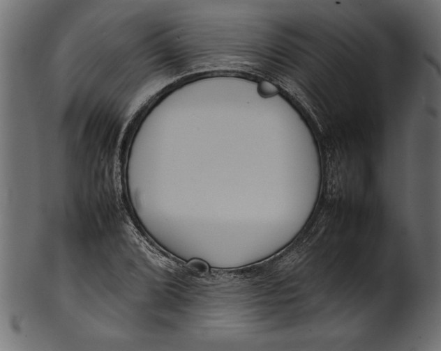 X0000101221072200807181546