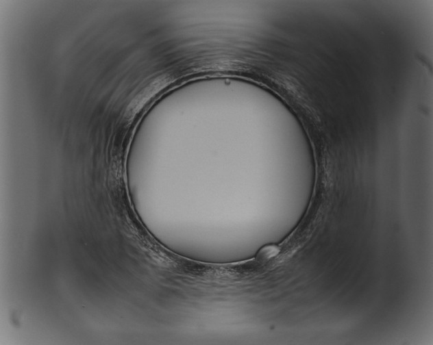 X0000101221073200807181546