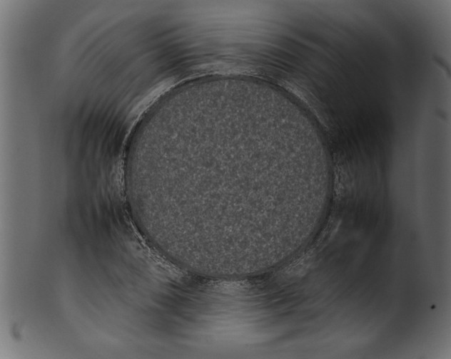 X0000101221074200807181546
