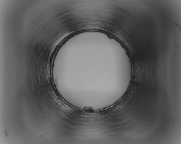 X0000101221076200807181546