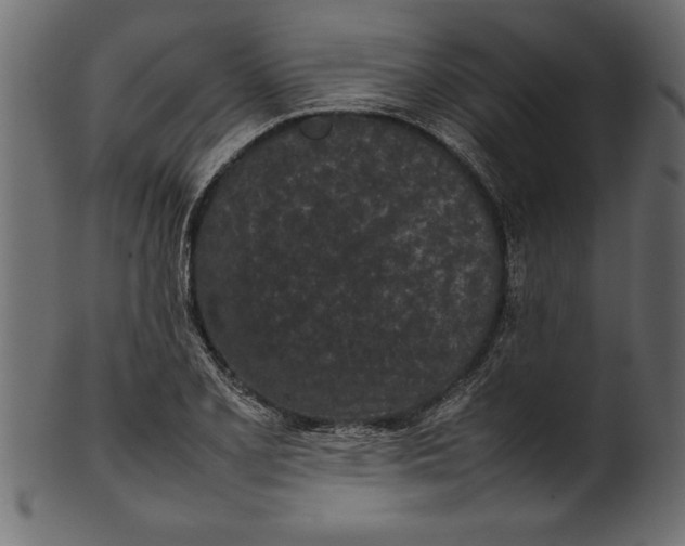 X0000101221077200807181546