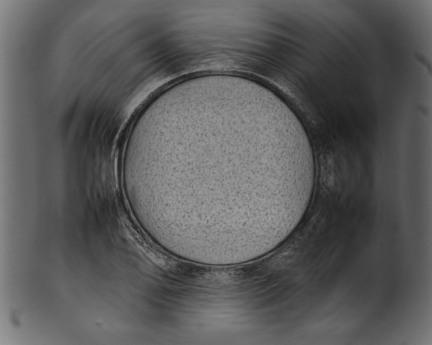 X0000101221078200807181546
