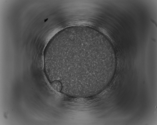 X0000101221079200807181546