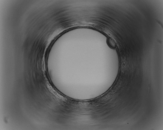 X0000101221080200807181546