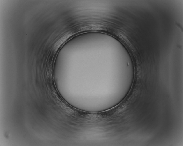 X0000101221081200807181546