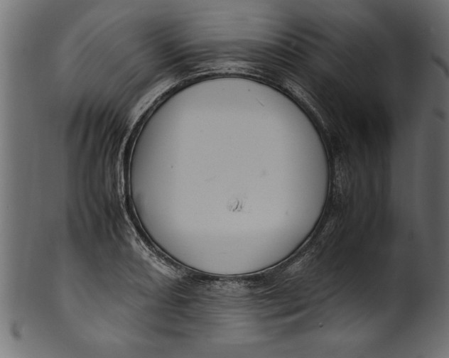 X0000101221082200807181546