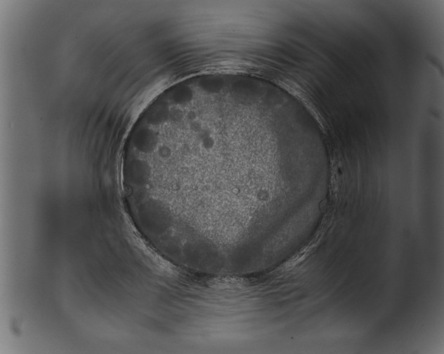 X0000101221083200807181546