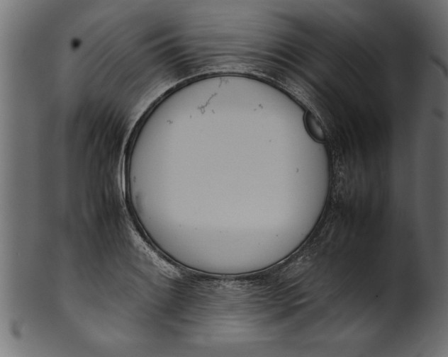 X0000101221084200807181546