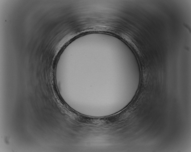 X0000101221085200807181546