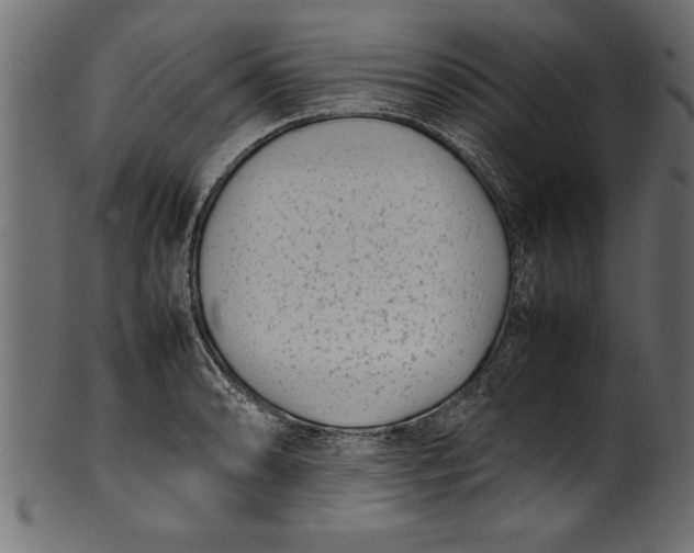 X0000101221086200807181546