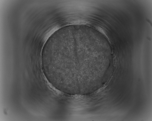 X0000101221087200807181546