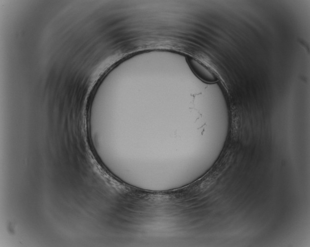 X0000101221088200807181546