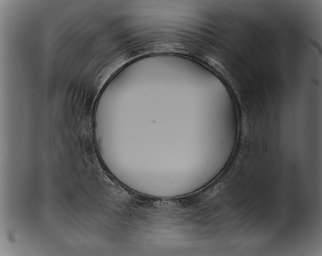 X0000101221089200807181546