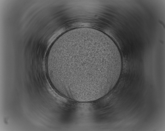 X0000101221090200807181546