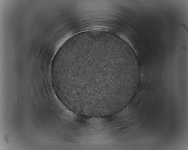 X0000101221091200807181546