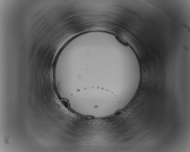 X0000101221092200807181546