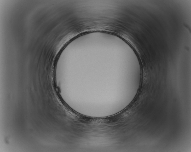 X0000101221093200807181546