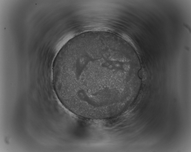 X0000101221095200807181546