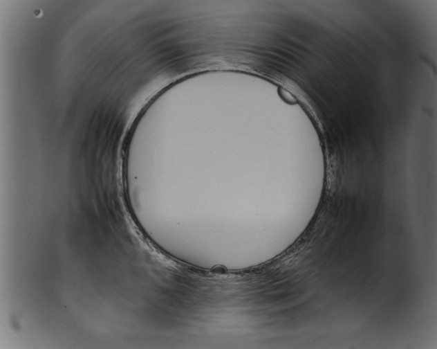 X0000101221096200807181546