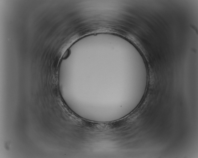 X0000101221097200807181546