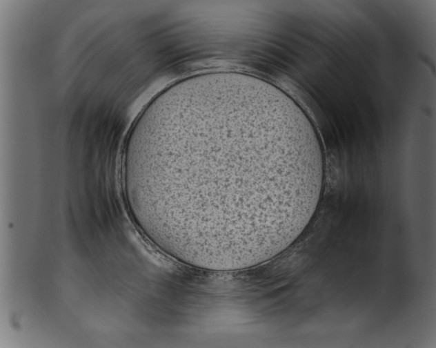 X0000101221098200807181546